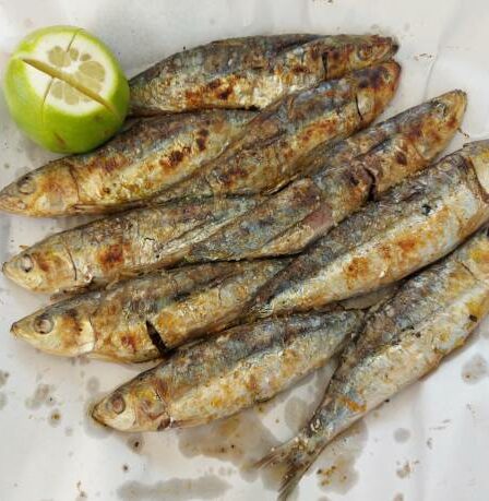 sardine grillé au Maroc