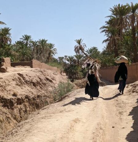 vie rurale au Maroc