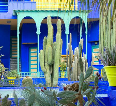jardin majorelle eccrin de verdur Maroc