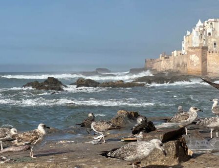 Essaouira