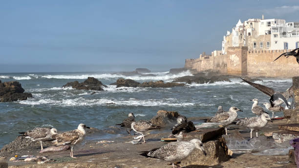 Essaouira