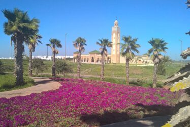 Tamesna Maroc