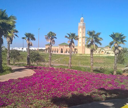 Tamesna Maroc