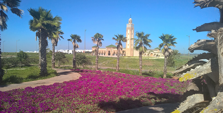 Tamesna Maroc