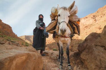 berbere marocains