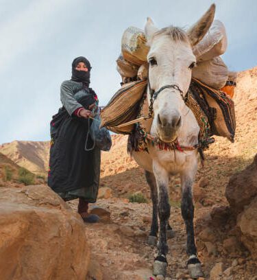 berbere marocains