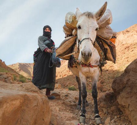 berbere marocains