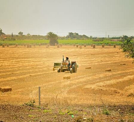 agriculture Maroc