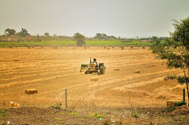 agriculture Maroc